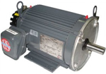 US Motors Inverter/Vector Motor Image